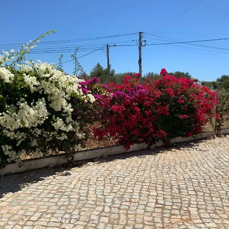 Alfarrobeiras * 알부페이라