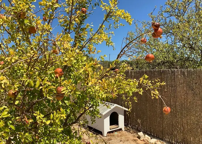 Hébergement de vacances Alfarrobeiras Albufeira