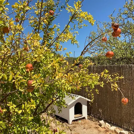 度假居 Alfarrobeiras 阿尔布费拉